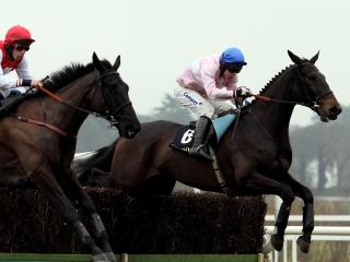 Los Amigos can win the National for Jim Dreaper